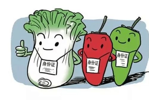 食品銷售中的溯源身份證 漲知識，一掃知身世