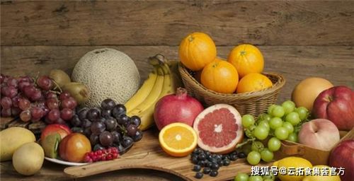 食集薈 | 被忽視的健康寶藏 魔芋的益處與技術進出口中的機遇